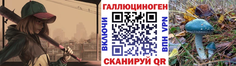 kraken как войти  Лабинск  Псилоцибиновые грибы прущие грибы 